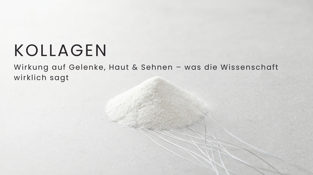 Kollagen: Wirkung auf Gelenke, Haut & Sehnen – was die Wissenschaft wirklich sagt