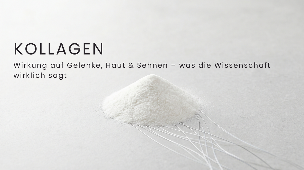Kollagen: Wirkung auf Gelenke, Haut & Sehnen – was die Wissenschaft wirklich sagt