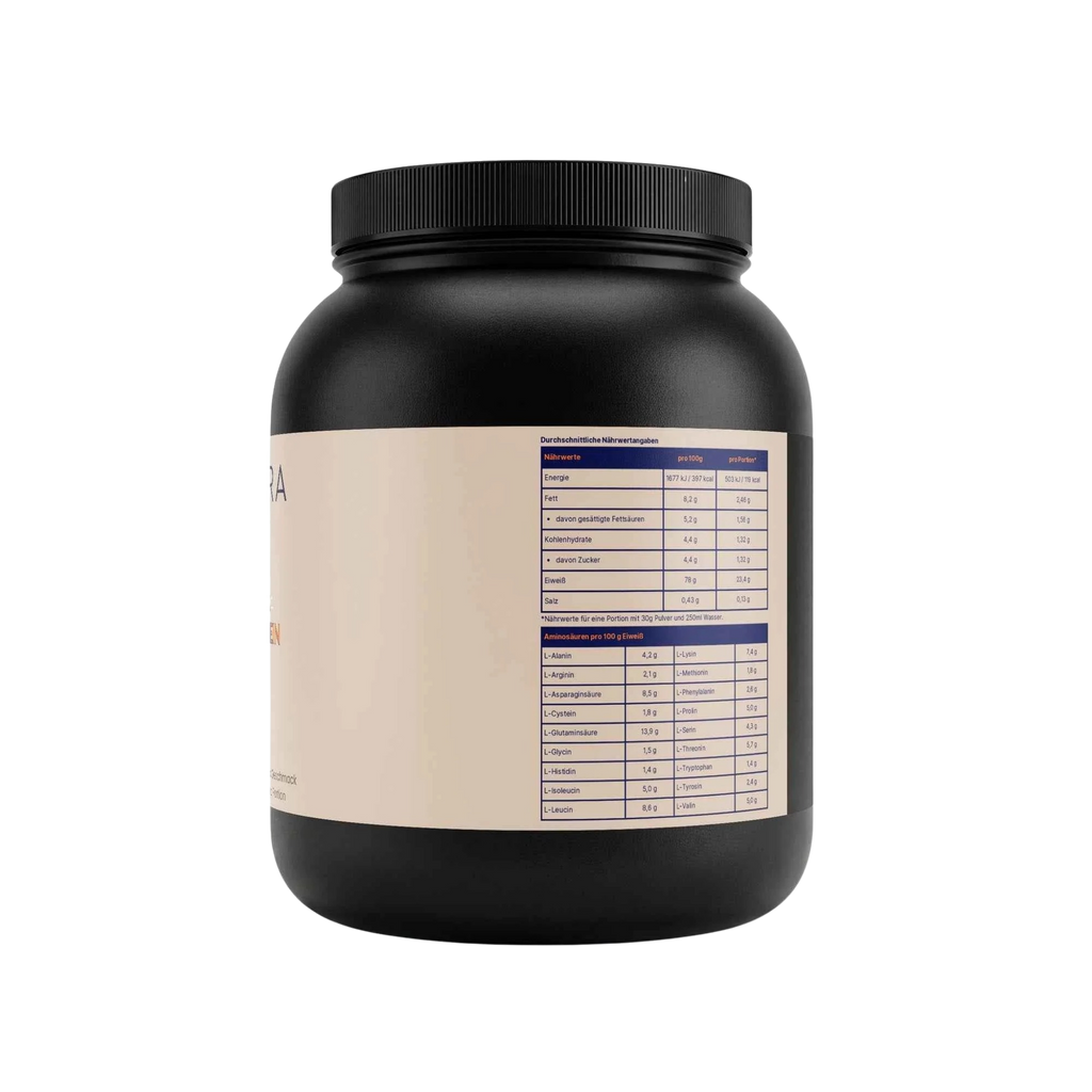 Invictor – Whey Protein | 78% Protein | Cookie Flavor